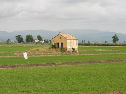 Imagen de Deltebre Imagen de Deltebre