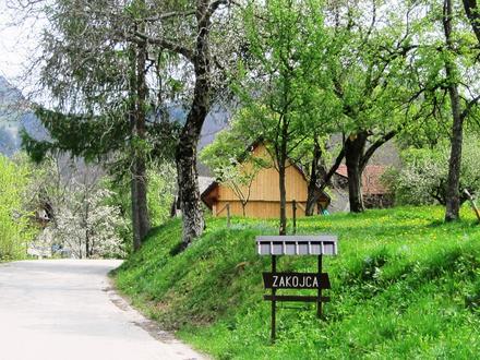 Slika Zakojca Slika Zakojca