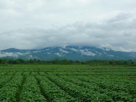 Image of Mae Lao District