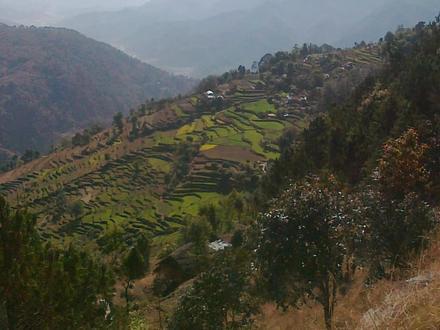 Image of Wangsing Deurali Image of Wangsing Deurali