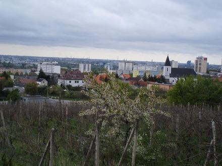 Bild von Rača