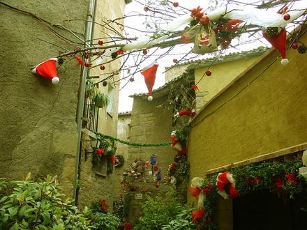 Immagine Torà