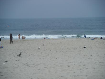Image de Seaside Heights Image de Seaside Heights