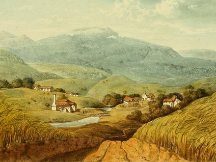Image of Williamsfield, Jamaica Image of Williamsfield, Jamaica