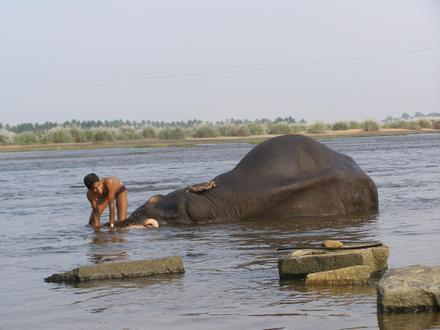 Image of Kodumudi