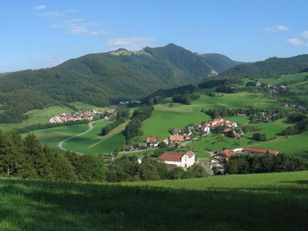 Oberried Image