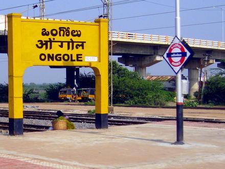Immagine Ongole Immagine Ongole