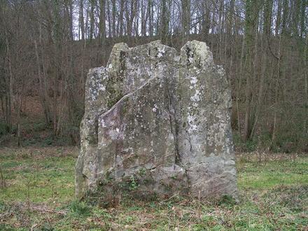 Immagine Villy-Bocage Immagine Villy-Bocage