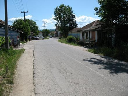 Slika Tečić Slika Tečić
