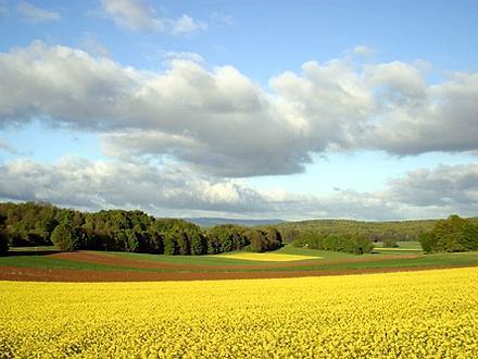 Bild von Bure JU Bild von Bure JU