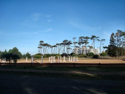Bild von Parque Carrasco