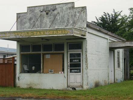 Bild von Halcombe (Neuseeland)