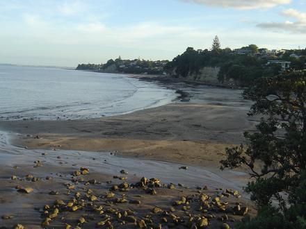 Image of Murrays Bay Image of Murrays Bay