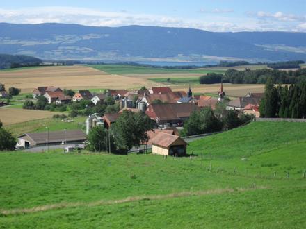 Bild von Prahins Bild von Prahins