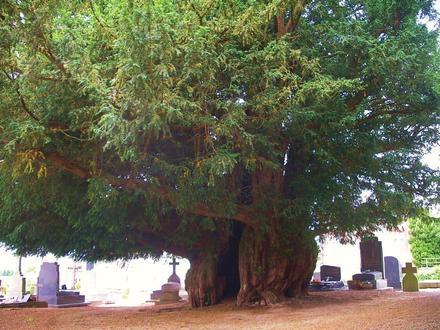 Image of Estry Image of Estry