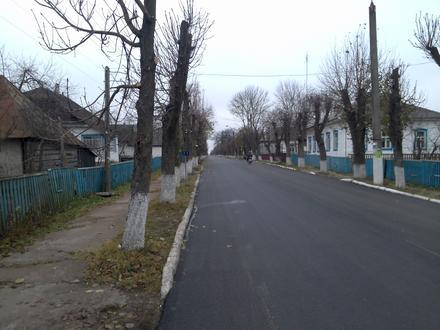 Narodychi Image