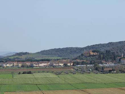 Immagine Alberese