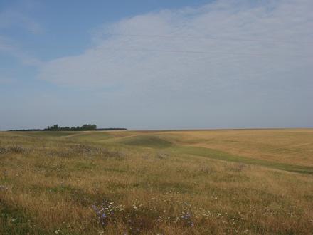 Image of Nemyryntsi Image of Nemyryntsi