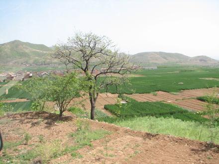 Bild von Linzhou