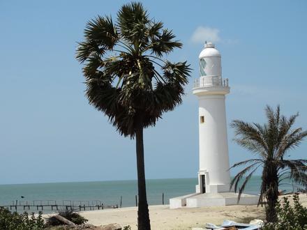 Image de Mannar