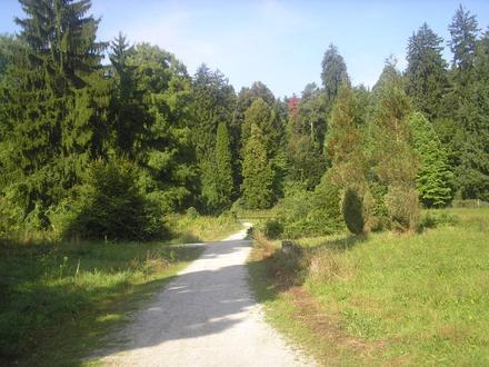Slika Vinica Slika Vinica