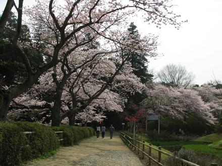 野田市的圖像 野田市的圖像
