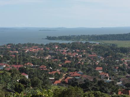 Image of Munyonyo Image of Munyonyo