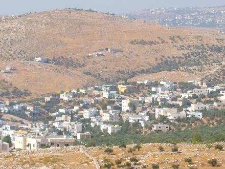 Image of Halawah Image of Halawah