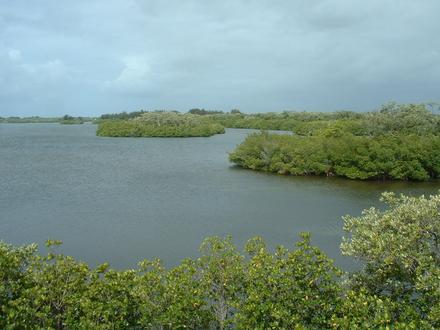 Bild von Windsor (Florida)