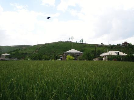 Image de Tsovinar