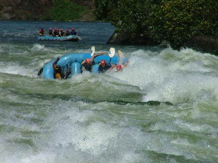 Bild von Bujagali