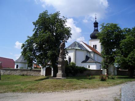 Obrázok Osice