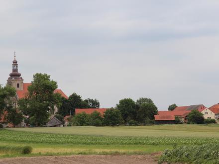 Image of Powidzko Image of Powidzko