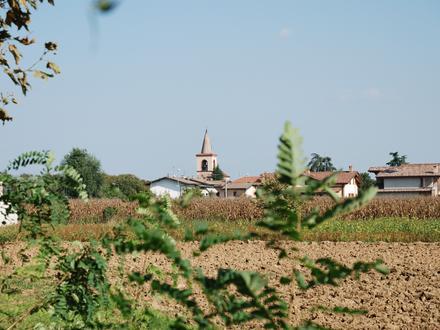Immagine Urgnano Immagine Urgnano
