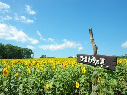 Immagine Hokuryū Immagine Hokuryū