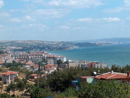 Image of Kumbağ Image of Kumbağ