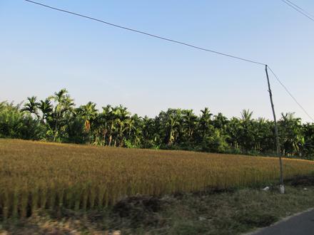 Image of Lakkavalli