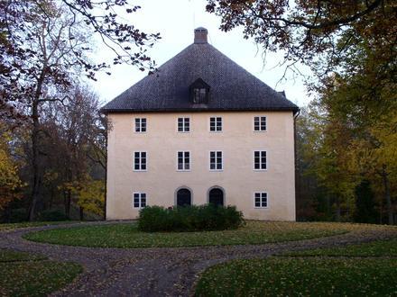 Bild von Masku