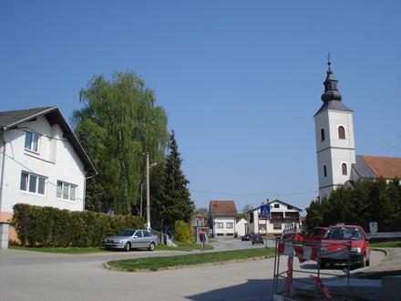 Bild von Belica