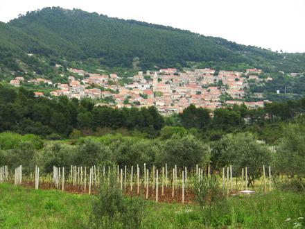 Bild von Smokvica Bild von Smokvica