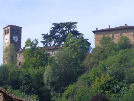 Immagine Casalborgone