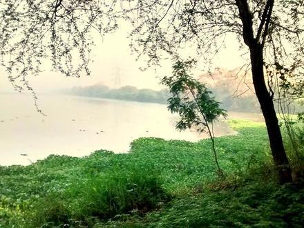 Hình ảnh về Krishnanagar Hình ảnh về Krishnanagar