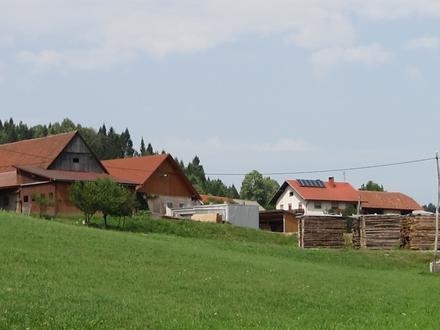 Slika Hlevni Vrh Slika Hlevni Vrh