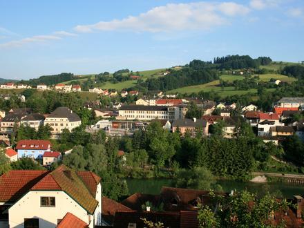 Immagine Grünburg Immagine Grünburg