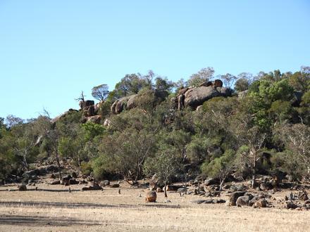 Image of Eugowra
