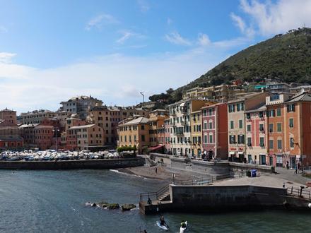 Image of Nervi
