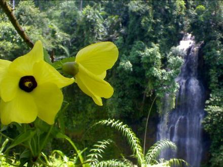 Image of Cilacap Regency Image of Cilacap Regency
