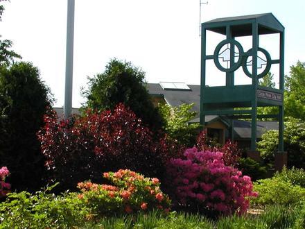 Afbeelding van Circle Pines Afbeelding van Circle Pines