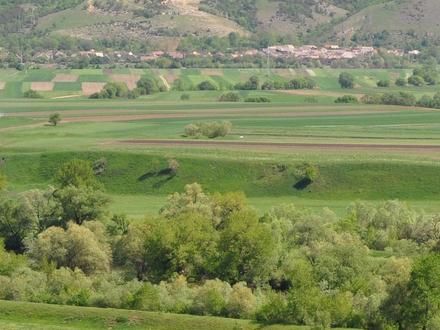 Image of Hoghiz Image of Hoghiz