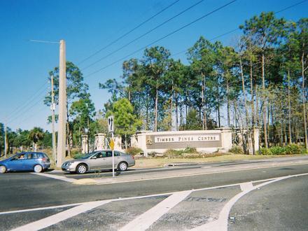 Bild von Timber Pines